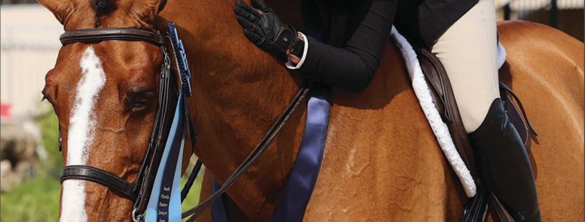 Cover of South Florida Hunter Jumper Association's 2023 Charity Show Prize List cover, featuring a bay horse relaxing after winning with seated rider hugging and patting him.